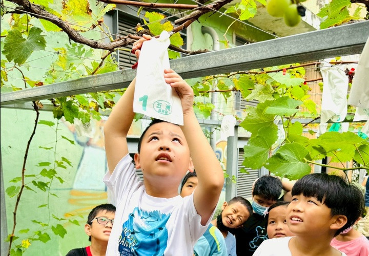 編號19圖片連結的縮圖